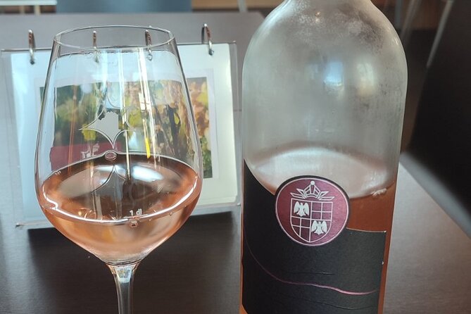 Swiss Vineyard Wine Tasting Tour in Vaud - Lavaux Vinorama and the quick lake view