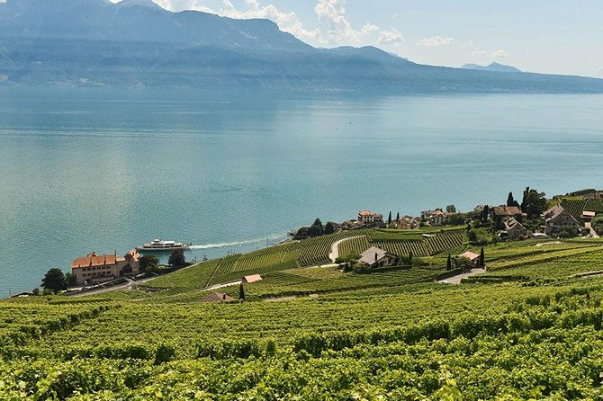 Swiss Wine Tasting at Lavaux Vineyards: Private Trip from Geneva - The private drive from Geneva