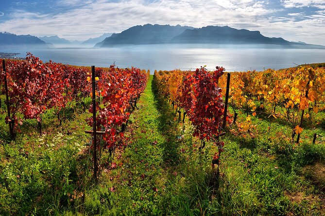 Swiss Wine Tasting at Lavaux Vineyards: Private Trip from Geneva - The guide can shape the day