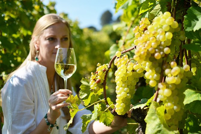 Swiss Wine Tasting at Lavaux Vineyards: Private Trip from Geneva - What the $1,638 group price really buys