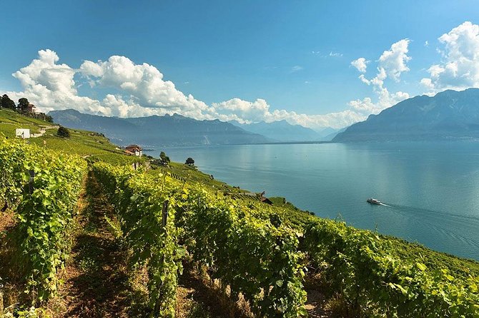 Swiss Wine Tasting at Lavaux Vineyards: Private Trip from Geneva - Arriving above Lake Geneva