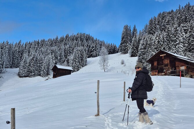 The best Sunset hike with Cheese Fondue - Key points at a glance