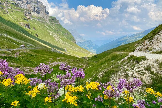 The natural wonders of Switzerland: private tour from Basel (1 day) - Uri’s quiet valleys and possible hike