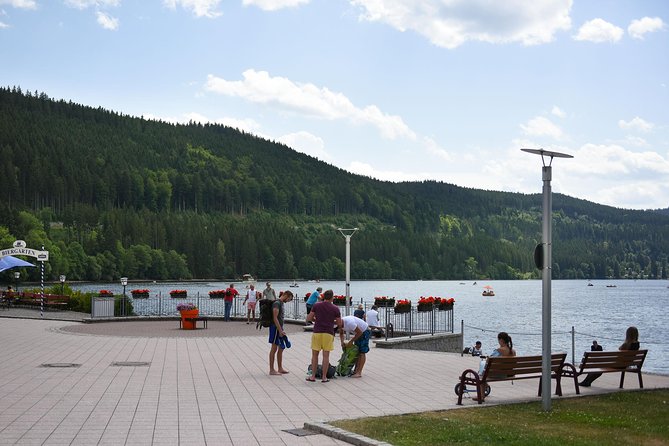 Trip from Zurich to Germany's Black Forest & Swiss Rhine Falls - A big day from Zurich to three very different sights