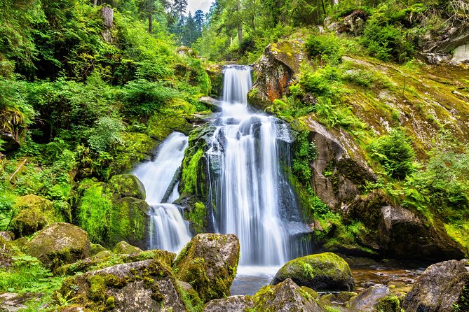 Trip from Zurich to Germany's Black Forest & Swiss Rhine Falls - What a private guide adds to the long drive