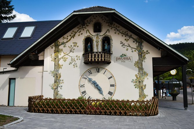 Trip from Zurich to Germany's Black Forest & Swiss Rhine Falls - Who will enjoy this day most?