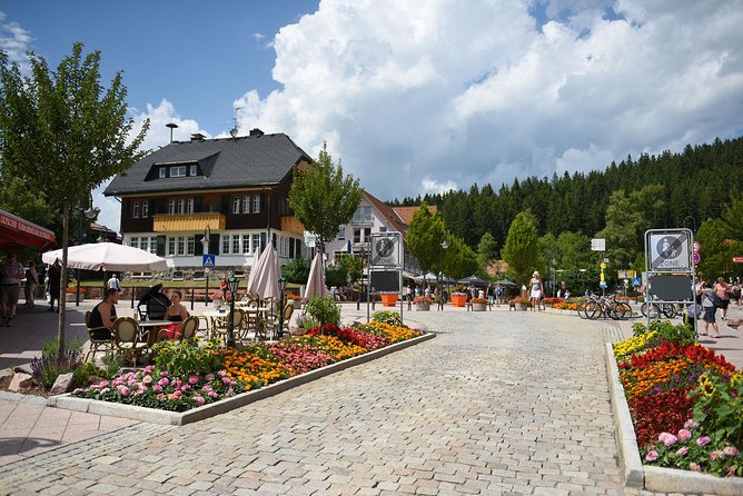 Trip from Zurich to Germany's Black Forest & Swiss Rhine Falls - Should you book the Zurich Black Forest and Rhine Falls tour?