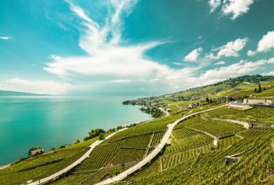 Vevey, Montreux, Chillon Day Trip from Geneva
