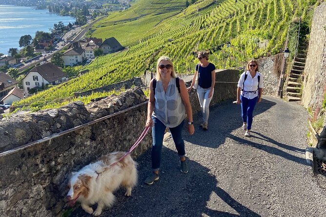 Vine Stories: Lavaux & Lutry wine walk - Key points to know before booking