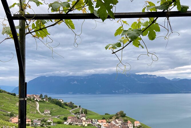 Vine Stories: Lavaux & Lutry wine walk - Walking through Grandvaux and the western terraces