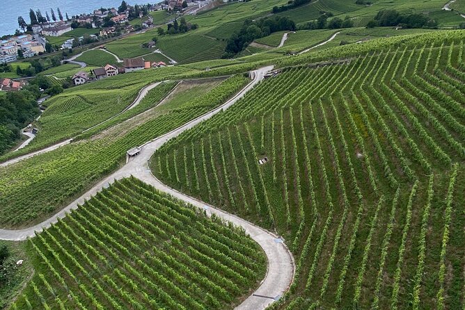Vine Stories: Lavaux & Lutry wine walk - What makes Marc a strong guide