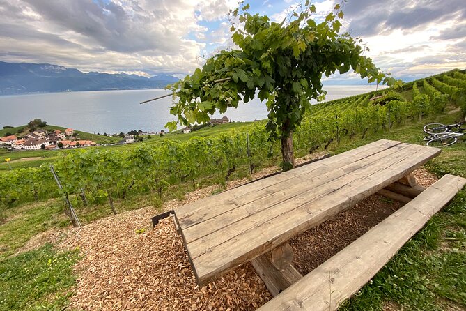 Vine Stories: Lavaux & Lutry wine walk - Meeting Marc at Bossière in Lutry