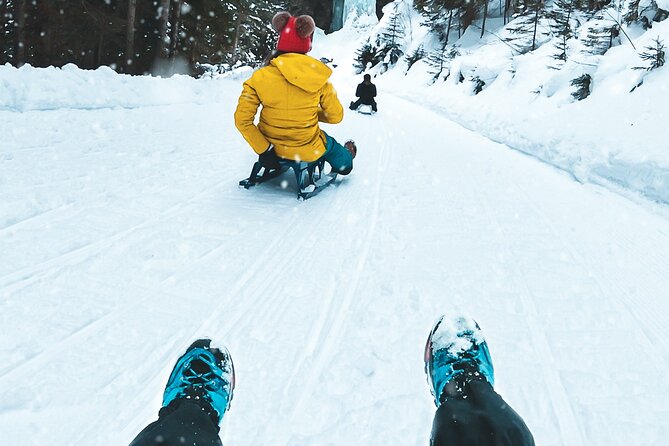 Winter Alpine Adventure - Key things to know before booking
