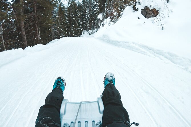 Winter Alpine Adventure - Trading snowshoes for a sled toward Isenfluh